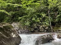 Non-alcoholic pairing course