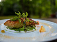 Seasonal Dinner — Main Course: Fish (By reservation only)