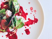 【ディナー】料理のみ8品のコース