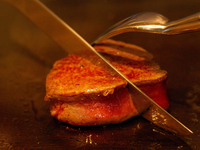 【JFRカード発行のカード会員様ご優待 | 20%OFF】Tasting lunch -テイスティング ランチ-