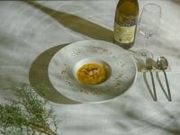 EVOLUZIONE (9plates)