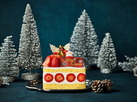 【Christmas Cake】Strawberry Shortcake （10cm x 12cm）
