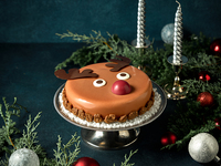 【Christmas Cake】Reindeer Cake