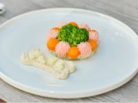 【オプション】わんちゃん専用『わんちゃんプレートランチ』