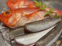 夜のおまかせコース　10月 11月