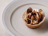 ランチ SAISON シェフおまかせコース ウェルカムグラスシャンパン付き