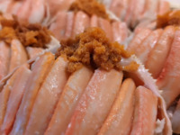 Seasonal limited!! Omakase course with female snow crab — Saturdays and holidays (Private room)