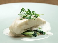 【ディナーコース】 旬の食材と二種のメイン 贅沢な全8品+ウェルカムドリンク