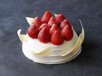 ガトー オゥ フレーズ (⌀15×H8.5cm)