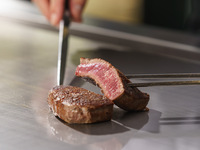 Salad appetizer and tenderloin steak (imported beef) course