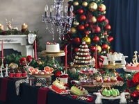 【Child 6-12yrs】Alice's Christmas Party