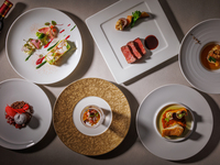 Dec 24 & 25 — Osaka Castle Illuminage Admission + Christmas Dinner