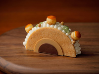 Saint Honore Rainbow