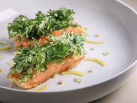 FESTIVE EMOTION -Five Courses