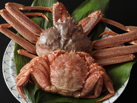 【料理長おまかせコース】