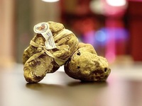 白トリュフのオールインクルーシブショートコースのお料理、トリュフ、お飲みものが含まれたコース）