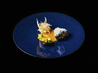 【LUNCH】Vegetarian SIGNATURE COURSE