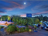 Limited Price 2025 Champagne & Beer Garden — “Hanayama-sha” amuse-bouche, chilled starter, warm starter, main, closing dish + all-you-can-drink (champagne, sake, beer, and more) ¥11,500