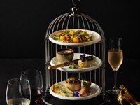 【Bar】Bar Cage Antipasto & All-You-Can-Drink