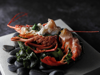 2026お正月コース