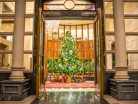 【La Suite X'mas 2025】「グラン・ブルー」クリスマスディナー・乾杯シャンパーニュ付き