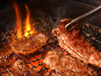 【夜宴セット】ランチ予約