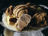 【ディナー】白トリュフ特別コース　「Truffes Blanches」（10/8～12/2）