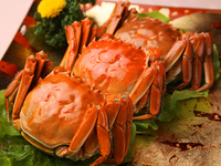 上海蟹コース