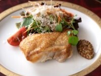 チョイスランチコース