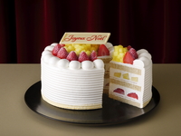 【NOC・NOL会員さま】【新作】エクストラスーパーダブルショートケーキ（直径約18cm）￥34,000