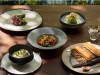 Lunch Course — Luxurious Lunch with Two Main Courses