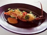 LUNCH — Noel 2025: Supreme Christmas Special Lunch Course, 9 Plates + 4 Beverage Pairings (Dec 19–25)