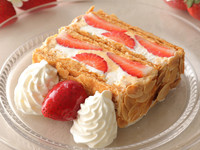 【ディナー】平日限定！KIHACHIのパイシリーズが付いた贅沢ディナー　※要予約