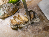 飲み放題2時間付き！【あわびコース】あわびの鉄板焼や国産サーロインステーキ含む全9品