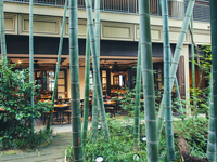 Year‑end and New‑Year Exclusive — Guaranteed Seating with Bamboo Grove View: Seasonal Course (limited dates/times)