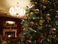 【Festive】 Brunch Buffet