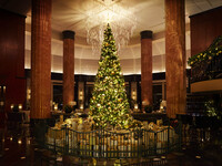 【12/15 - 12/19】クリスマスランチブッフェ