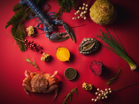 【Christmas limited course】Cloche