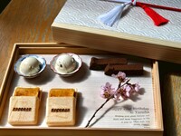 【旬彩の雅コース】記念日デザート付き※平日限定で乾杯スパークリング付き！