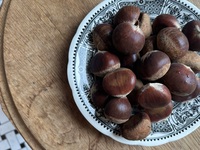 Weekly days Lunch Course  