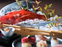 藤花コース【11月～】 / TOUKA