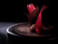 【ランチ】ホリデーランチ 5品コース