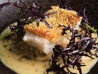 Dinner Course