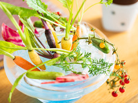 ◆ディナー◆Giardino～庭～旬野菜のバーニャカウダ、メインはプリフィクス形式でお好きなものを～全7品