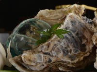 牡蠣と黒毛和牛のコース