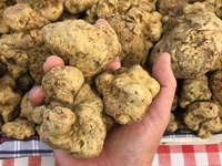 Omakase dinner course