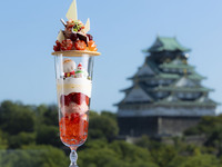 Strawberry Christmas Parfait “SHOGUN”