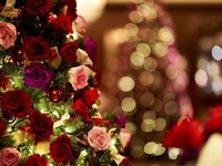 【クリスマスディナー】乾杯シャンパーニュ/メイン肉料理/お土産マカロン付シグネチャーアフタヌーンティー