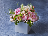 【Option】Birthday Package B　（1/1～）