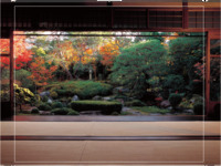 Solo 3 porzioni al giorno — Afternoon tea stagionale speciale di 桜鶴苑